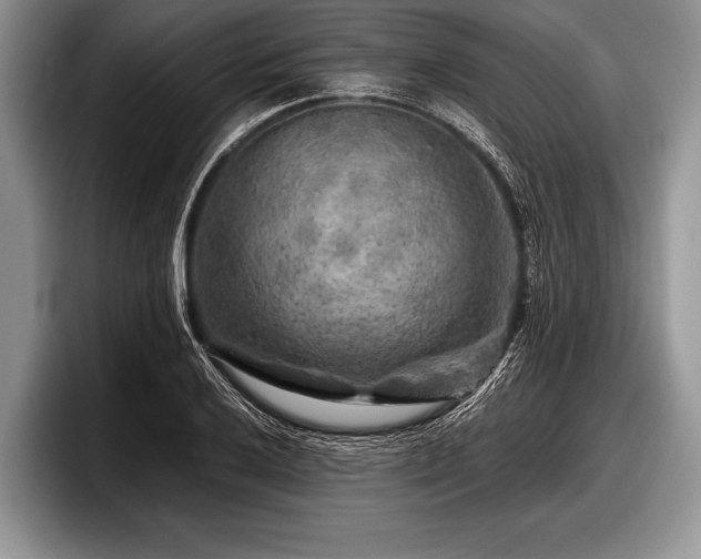 X0000097891032200803211351