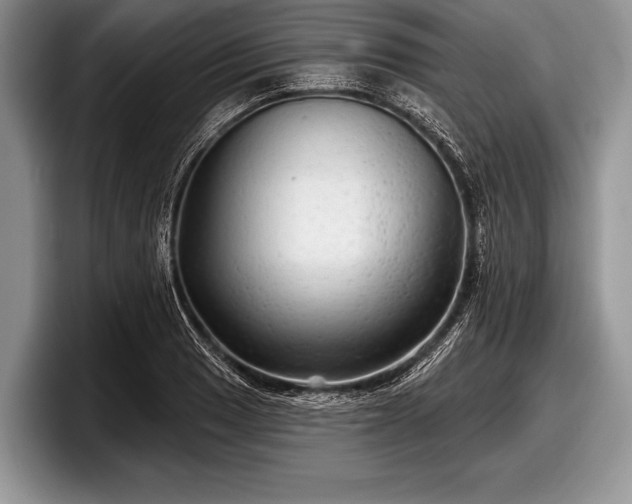 X0000097891033200803211351