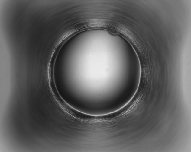 X0000097891034200803211351