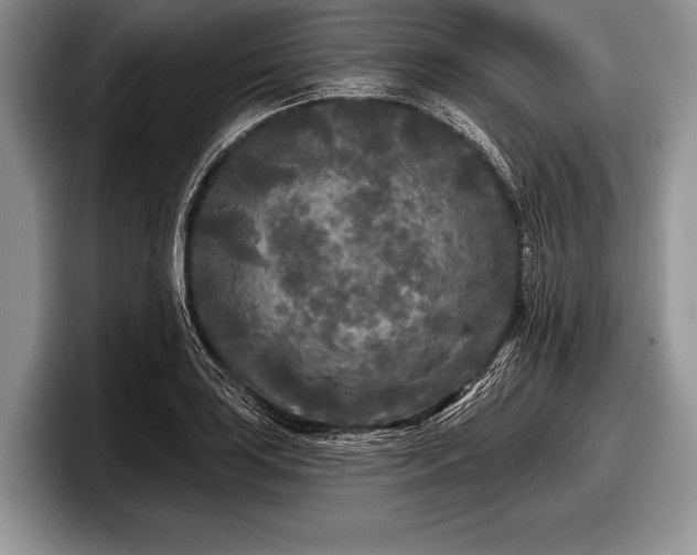 X0000097891035200803211351