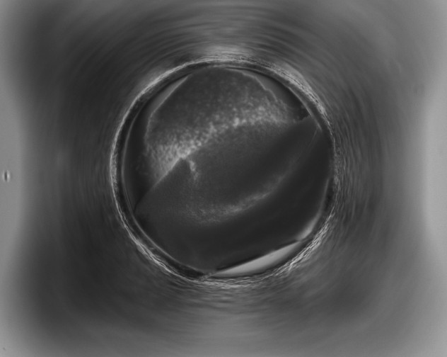 X0000097891037200803211351