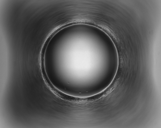 X0000097891038200803211351