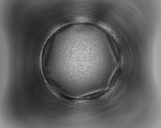 X0000097891039200803211351