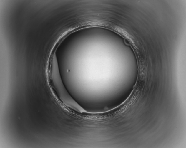 X0000097891040200803211351