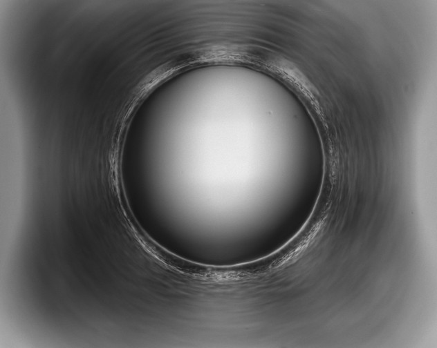 X0000097891041200803211351