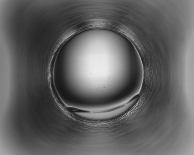 X0000097891042200803211351