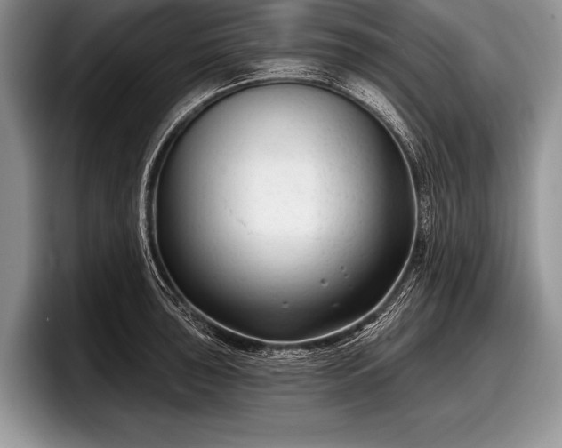 X0000097891043200803211351