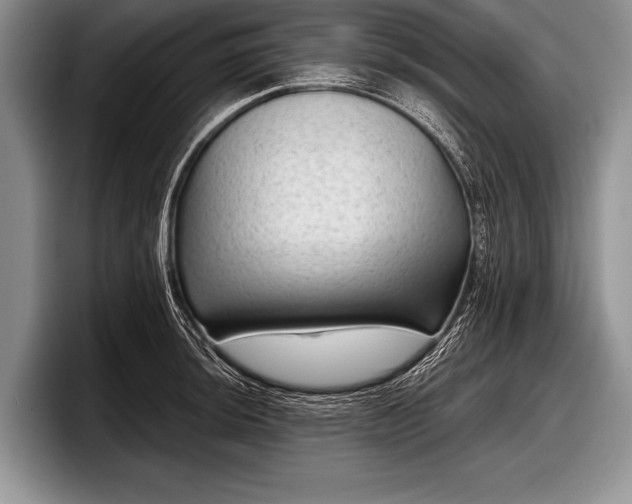 X0000097891044200803211351