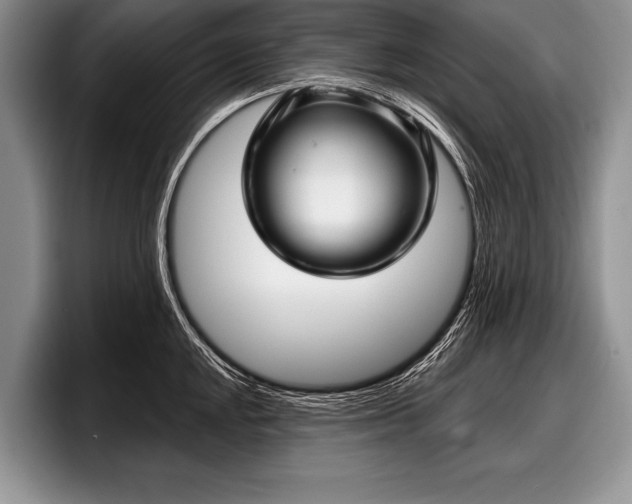 X0000097891048200803211351