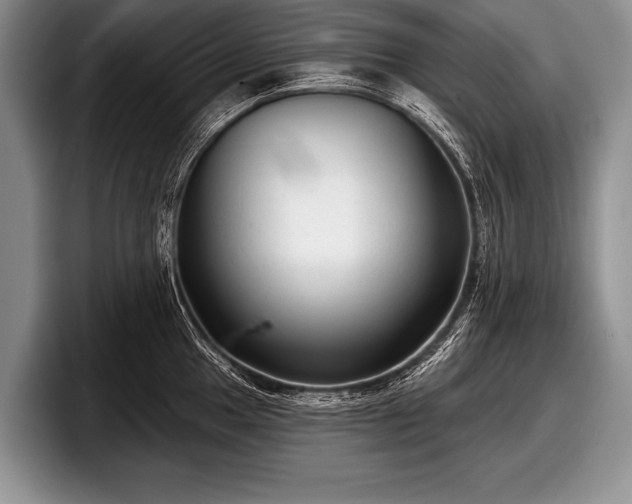 X0000097891049200803211351