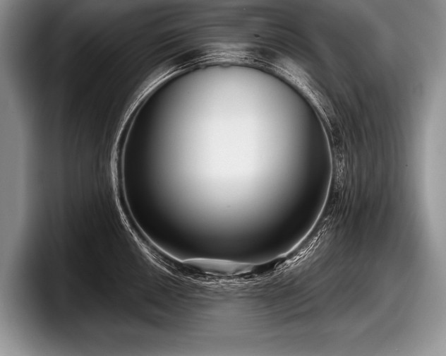 X0000097891050200803211351