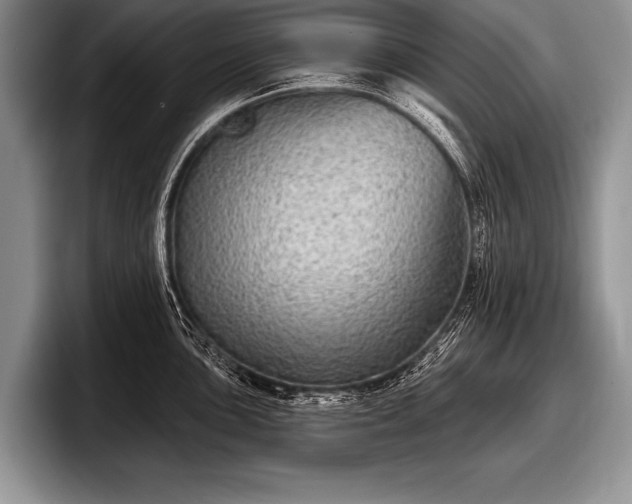 X0000097891051200803211351