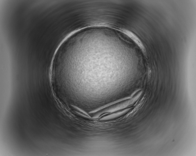 X0000097891052200803211351