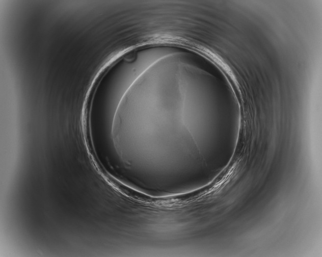 X0000097891053200803211351