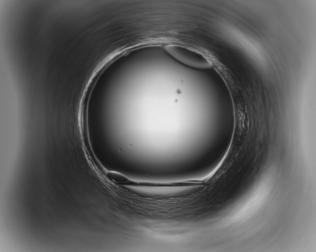 X0000097891054200803211351