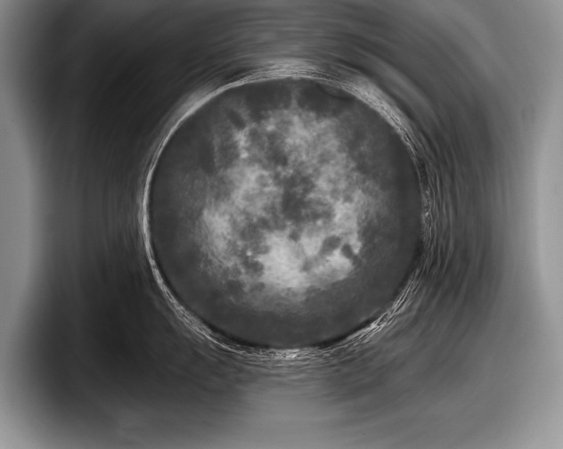 X0000097891055200803211351