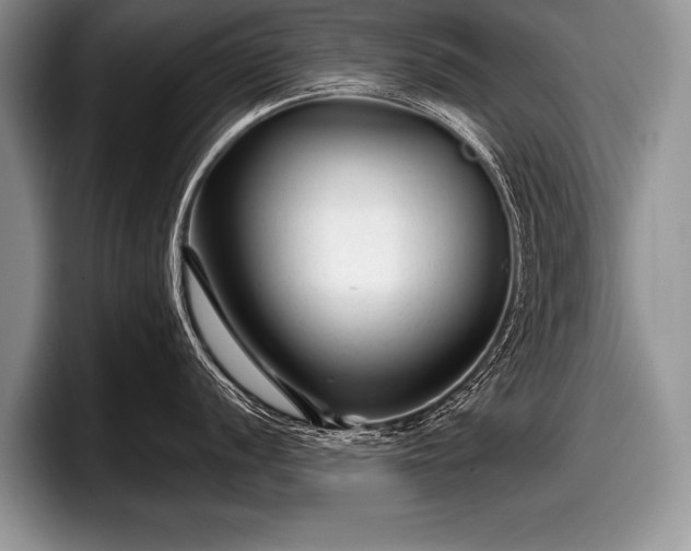 X0000097891056200803211351