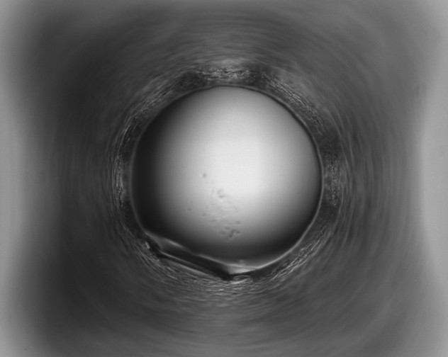 X0000097891058200803211351