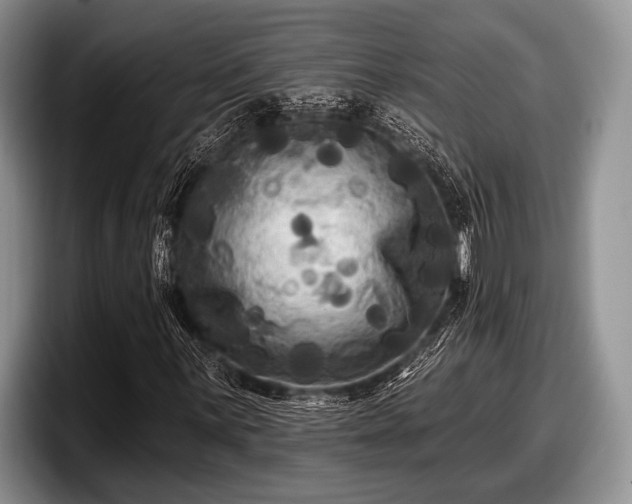 X0000097891059200803211351