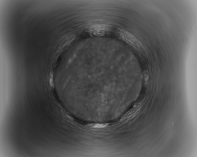 X0000097891060200803211351