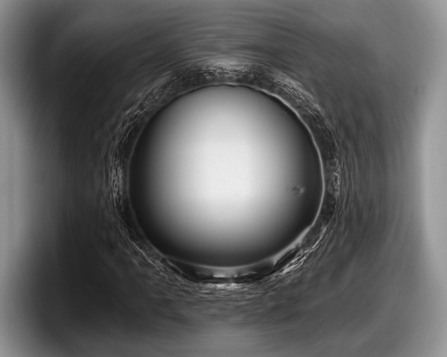 X0000097891061200803211351