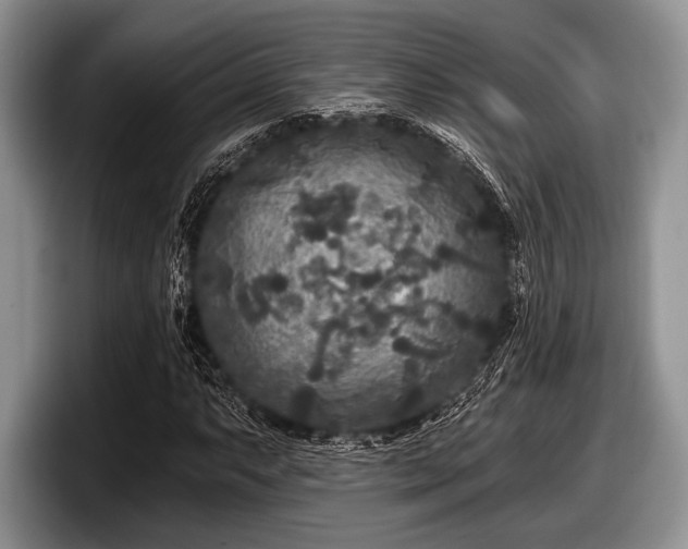 X0000097891063200803211351