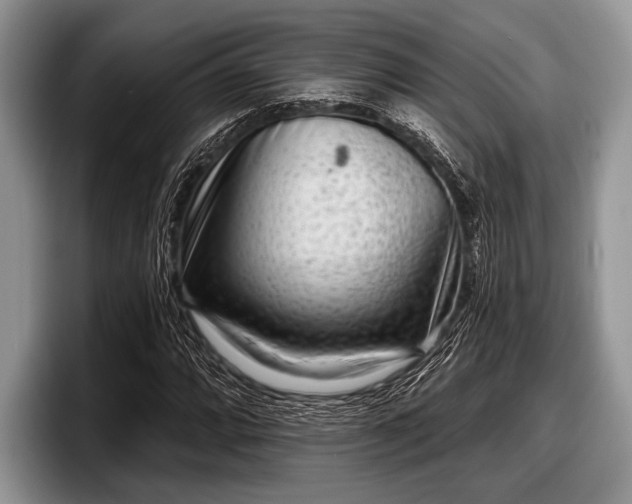 X0000097891064200803211351