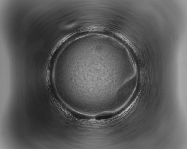 X0000097891066200803211351