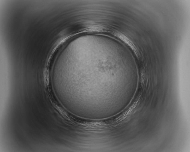 X0000097891067200803211351