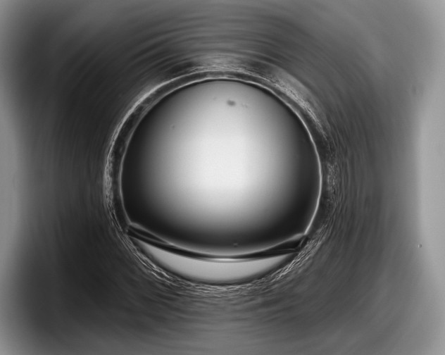 X0000097891068200803211351