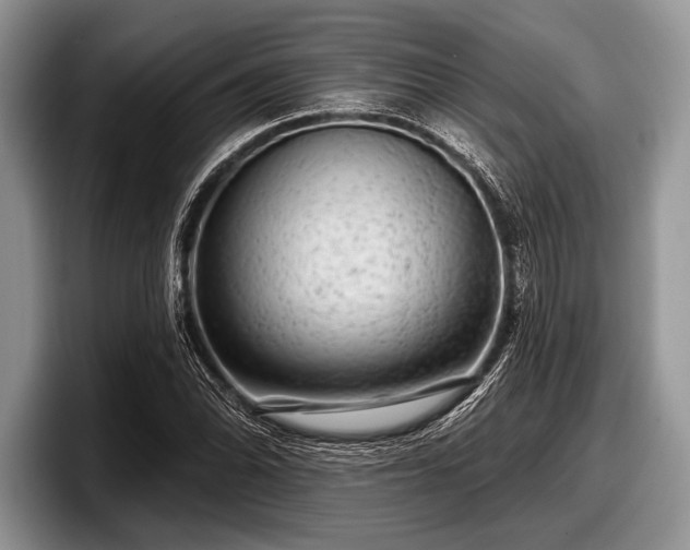 X0000097891070200803211351