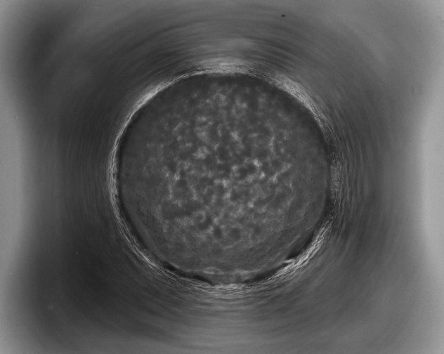 X0000097891071200803211351