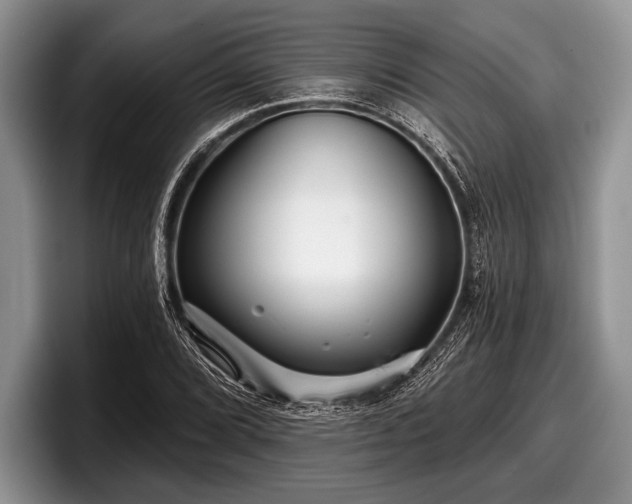 X0000097891072200803211351