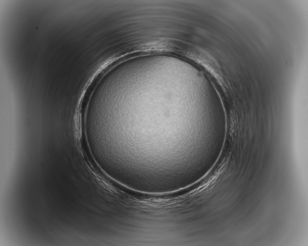 X0000097891075200803211351