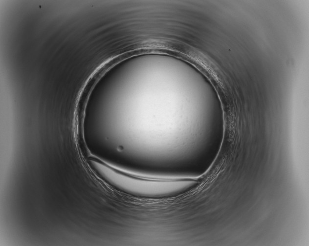 X0000097891076200803211351