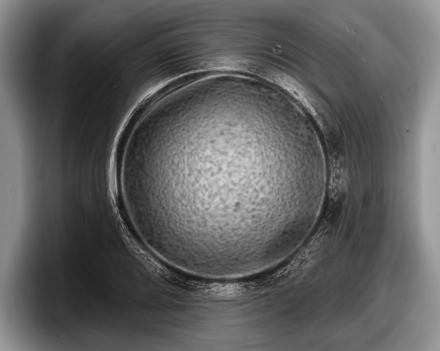 X0000097891080200803211351