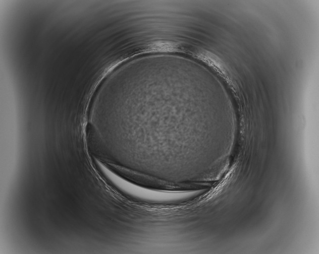 X0000097891081200803211351