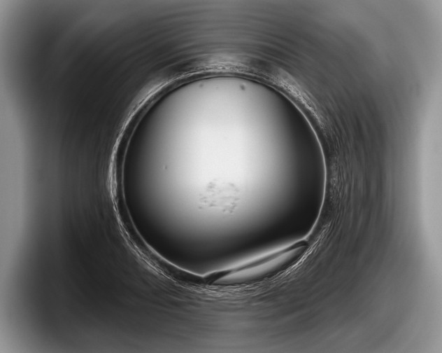 X0000097891082200803211351