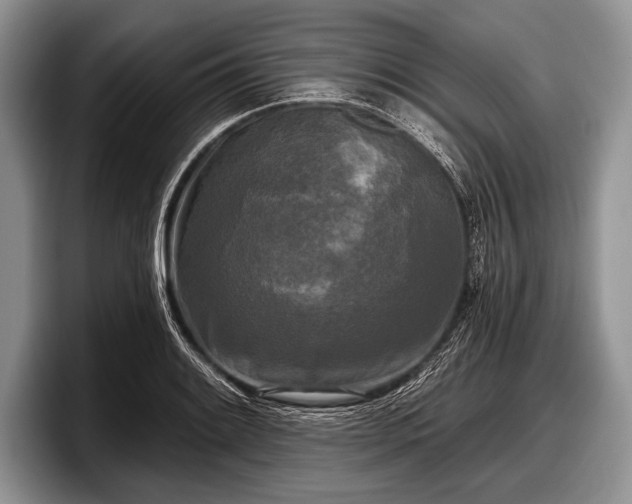 X0000097891084200803211350