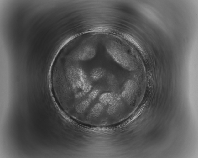 X0000097891087200803211350