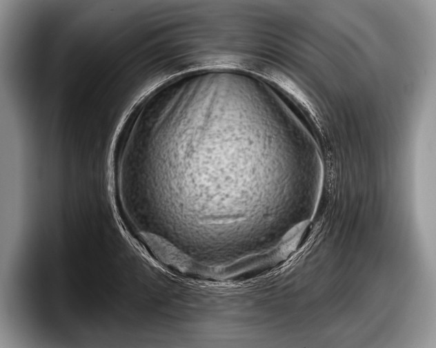 X0000097891088200803211350