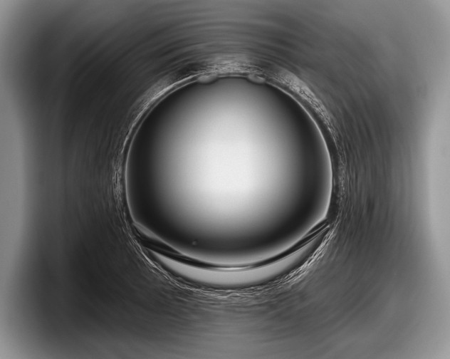 X0000097891089200803211350