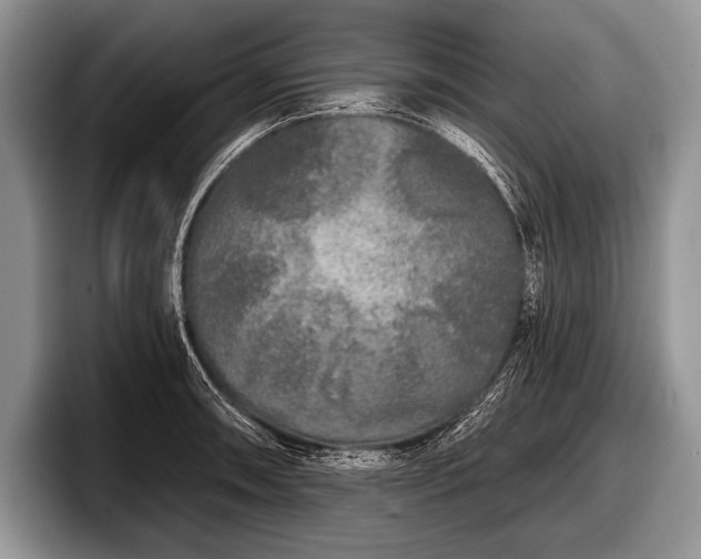 X0000097891090200803211350