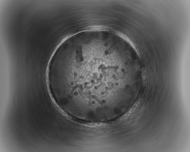 X0000097891091200803211350