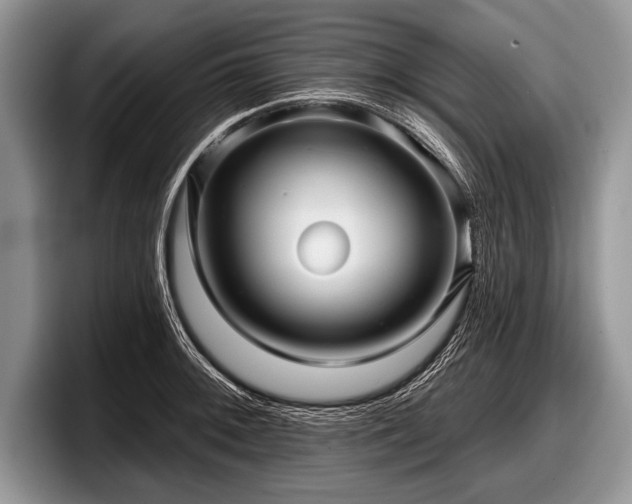 X0000097891092200803211350