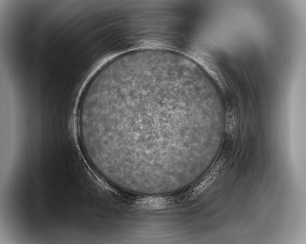 X0000097891094200803211350