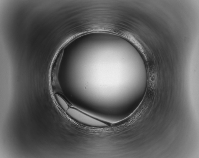 X0000097891096200803211350