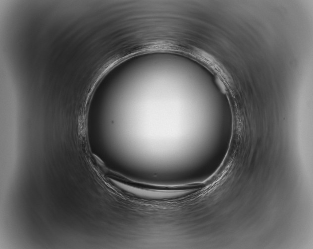 X0000097891097200803211350