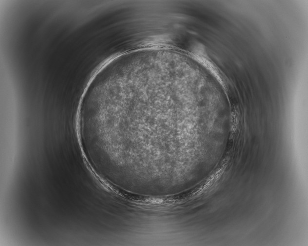 X0000097891098200803211350