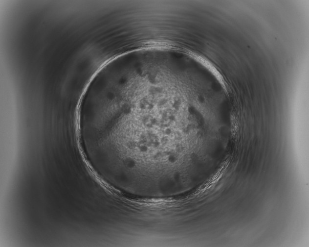 X0000097891099200803211350